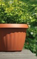 Doniczka Osłonka Ogrodowa Dona 45 - 2 kolory