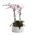Misa ceramiczna Piano Biała