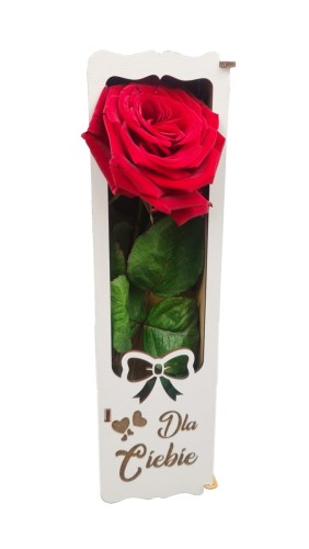 Flower box na 1 RÓŻĘ - Dla Ciebie 
