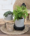 Osłonka Patio Pot 11 cm