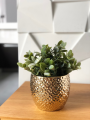Osłonka ceramiczna KULA Gold DÉCO 20