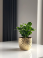 Osłonka ceramiczna KULA Gold DÉCO 20