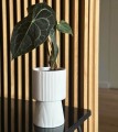 Doniczka osłonka Ryflowany Kielich WHITE Barcelona 22 cm