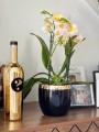 Osłonka ceramiczna KULA Black & Gold 11