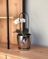 Donica ceramiczna z podstawkiem 17 cm - Silver