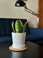 Donica ceramiczna z podstawkiem Deco 15 cm - White