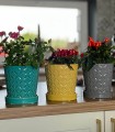 Donica ceramiczna z podstawkiem Deco 15 cm - Szary