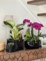 Osłonka ceramiczna Kostka Black 14 cm