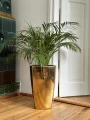 Camila kwadrat wysoki Gold lustrzany 57 cm & 61 cm Komplet