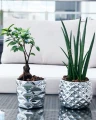 Osłonka ceramiczna SILVER 19