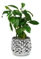 Osłonka ceramiczna SILVER 19