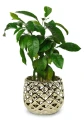 Osłonka ceramiczna GOLD 19 cm 
