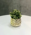 Osłonka ceramiczna GOLD 19 cm 