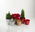Osłonka ceramiczna Basic GOLD 15