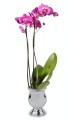 Osłonka ceramiczna Urna SILVER 21 cm