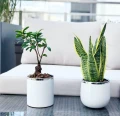 Osłonka ceramiczna Walec 20 White & Silver
