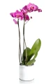 Osłonka ceramiczna Walec 20 White & Silver