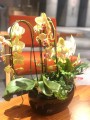 Osłonka ceramiczna Rynna 27 cm - czarna lakierowana