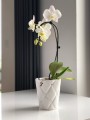 Osłonka storczyk Glamour Pikowana White-cyrkonie