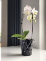 Osłonka storczyk Glamour Pikowana Black-cyrkonie