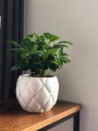 Osłonka kula Glamour Pikowana White-cyrkonie