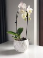 Osłonka kula Glamour Pikowana White-cyrkonie