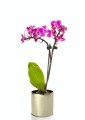 Osłonka ceramiczna Walec GOLD 13 cm