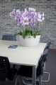 Ceramiczna MISA do kompozycji Orchid Biała 28 cm