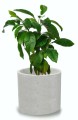 Donica Cylinder z betonu dekoracyjnego ETNO 14