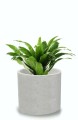 Donica Cylinder z betonu dekoracyjnego ETNO 14
