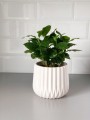 Osłonka Ceramiczna Ryflowana Barcelona - WHITE