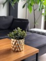 Osłonka Walec Geometric Romby Gold