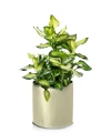 Osłonka ceramiczna Walec GOLD 20 cm