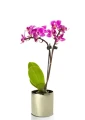 Osłonka ceramiczna Walec GOLD 20 cm