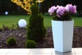 Doniczka Finezja Rattan 250 - 3 kolory